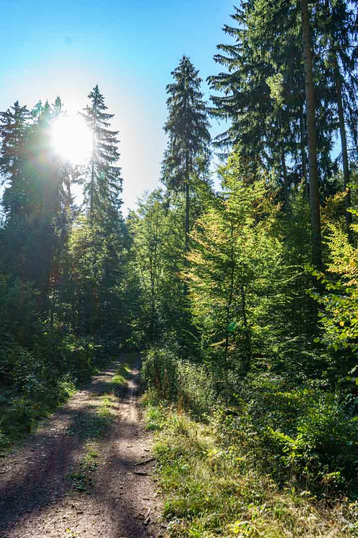 H&ouml;lltal Weg Richtung Mosbach