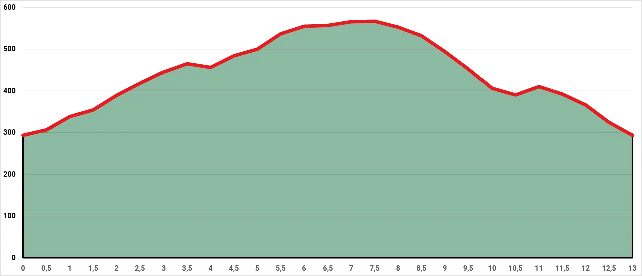 Höhenprofil Rundwanderung zur Rennsteiggrotte und Wachstein