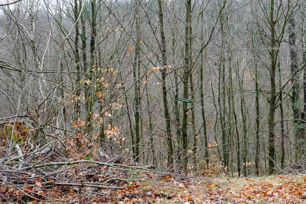 Rennsteiggrotte Richtungspfeil #2