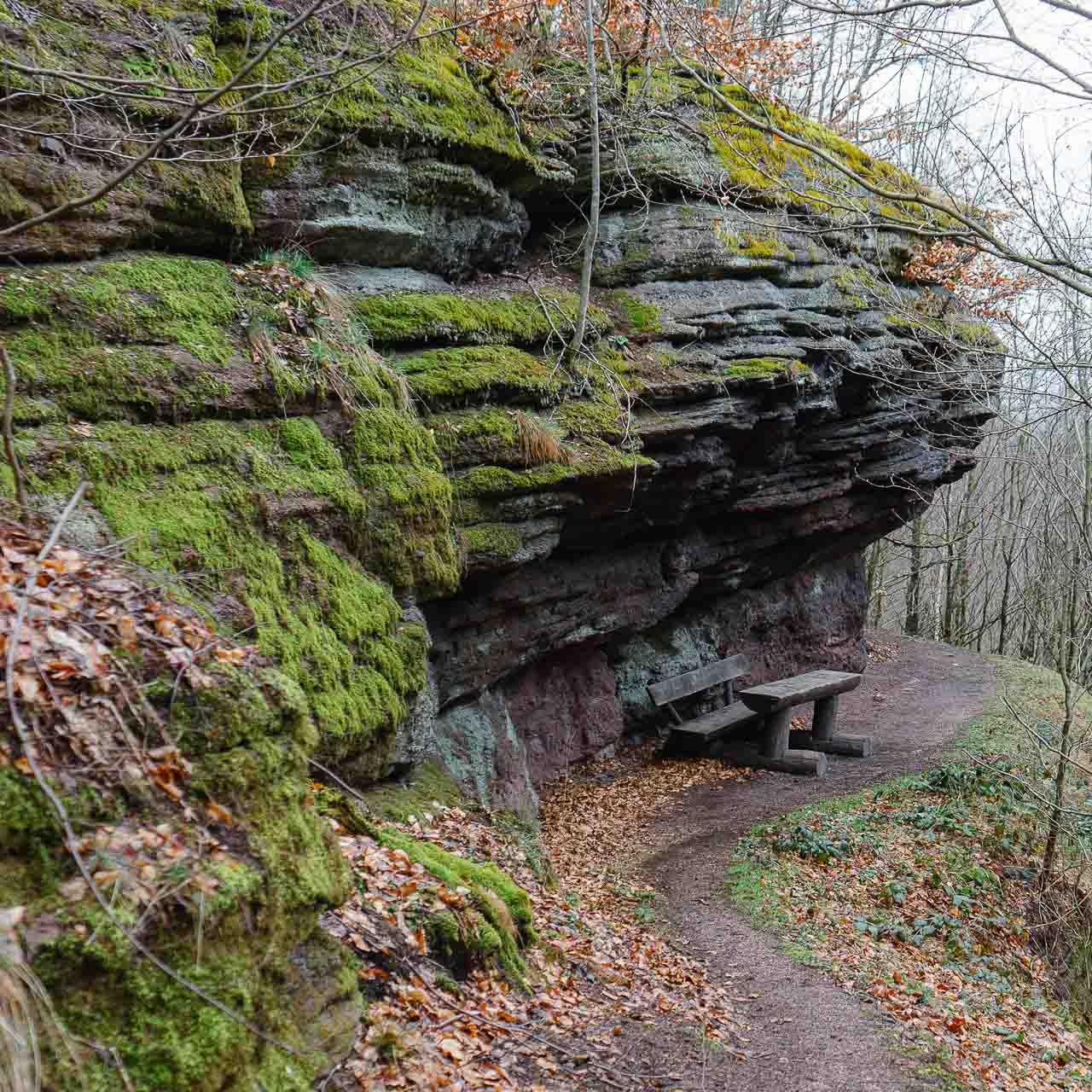 Rundwanderung zur Rennsteiggrotte und Wachstein