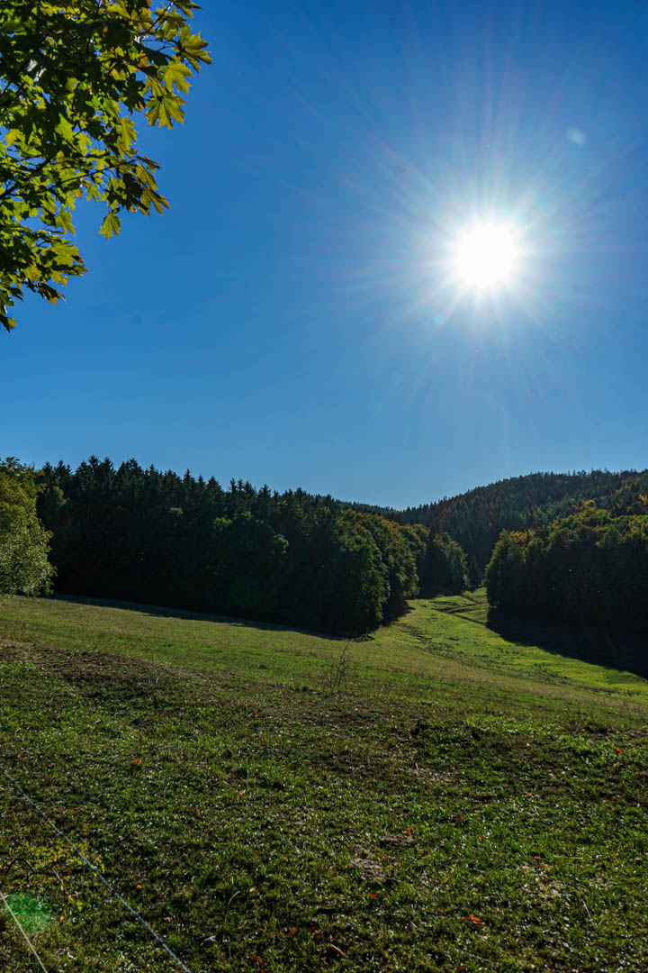 Blick Richtung Rennsteig