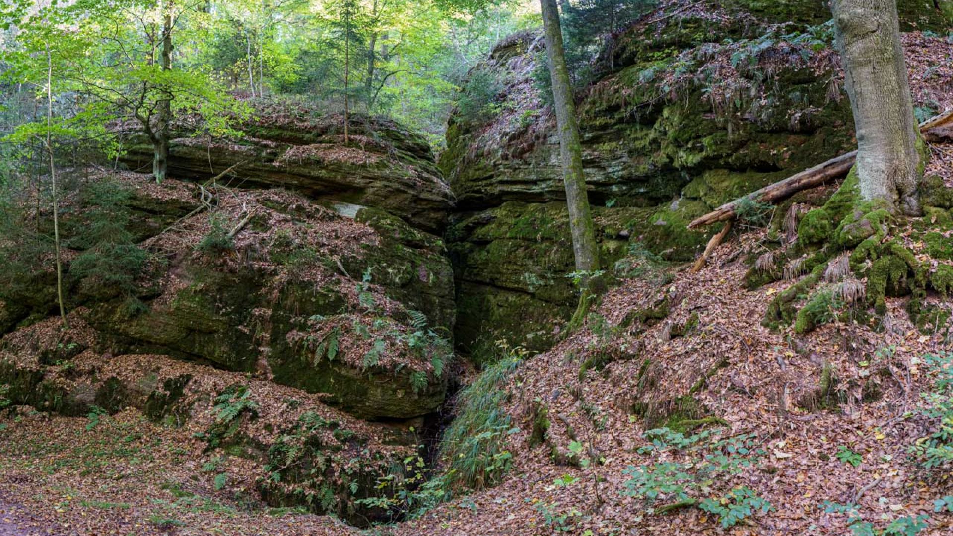 Ochsenstall bei Mosbach im Th&uuml;ringer Wald