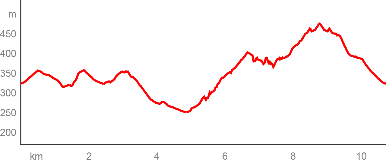 Höhenprfil des Wanderweges 